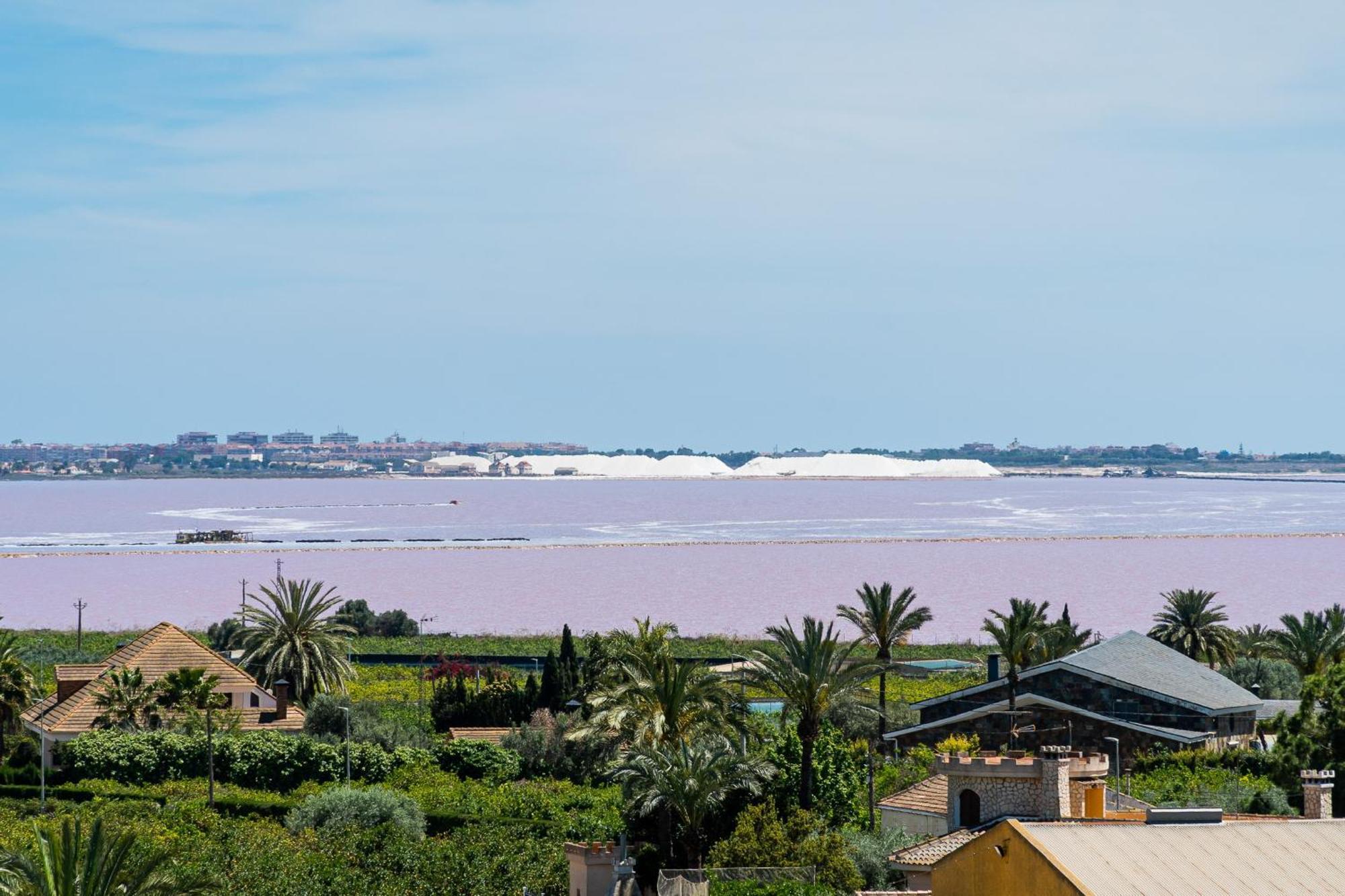 Aparthotel Laguna Rosa Los Montesinos Kültér fotó